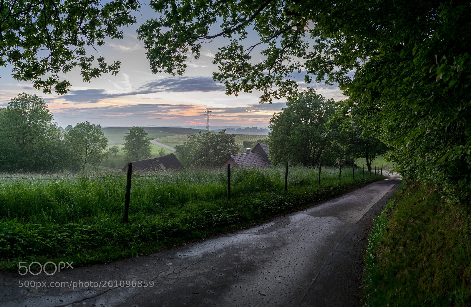 Sony a7 II sample photo. Frankholzhäuschen walk photography