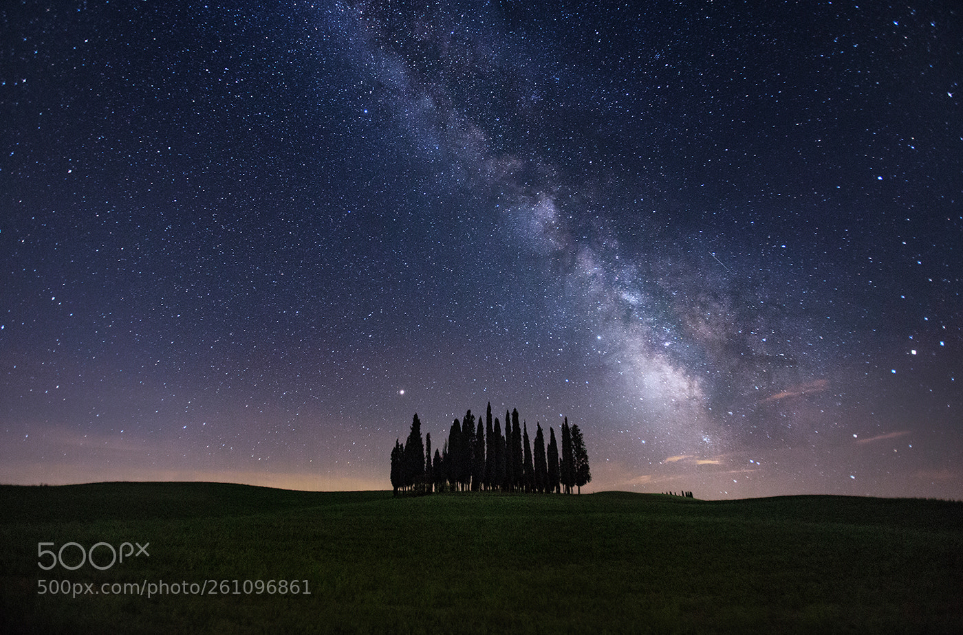 Canon EOS 6D sample photo. Circle of cypress photography