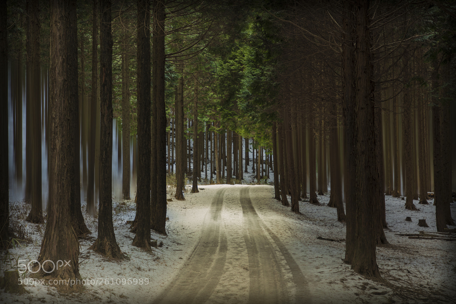 Canon EOS 5D Mark IV sample photo. Hidden road photography