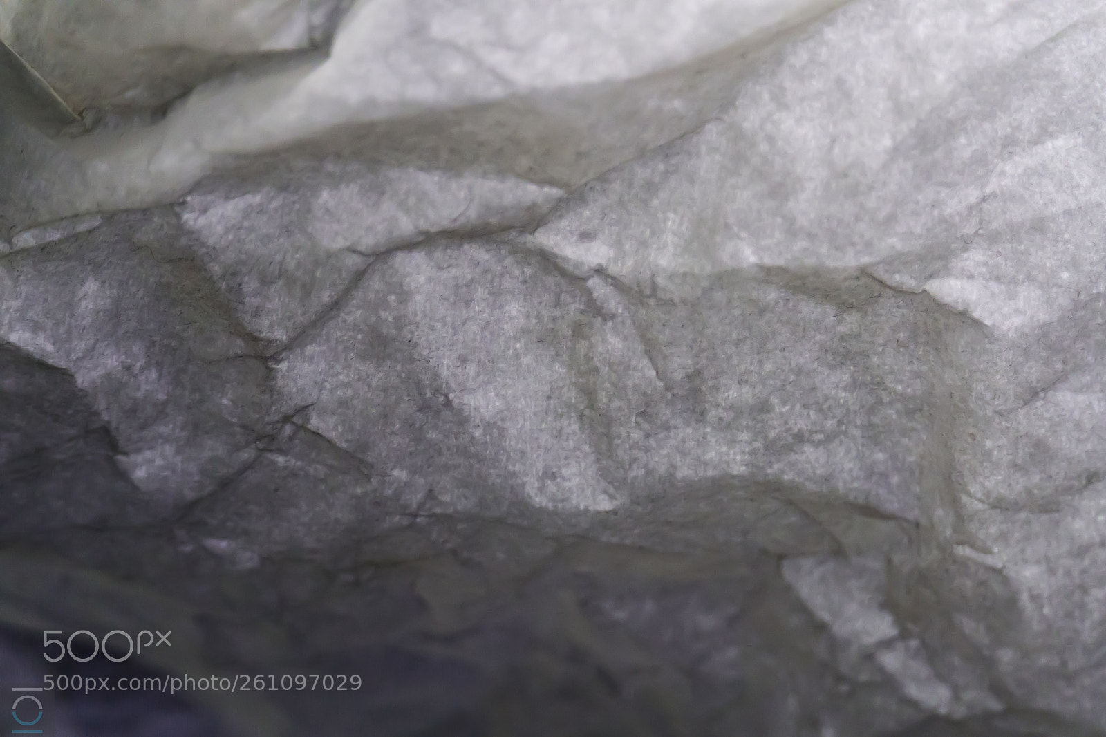 Sony a6000 sample photo. Wrinkled photography