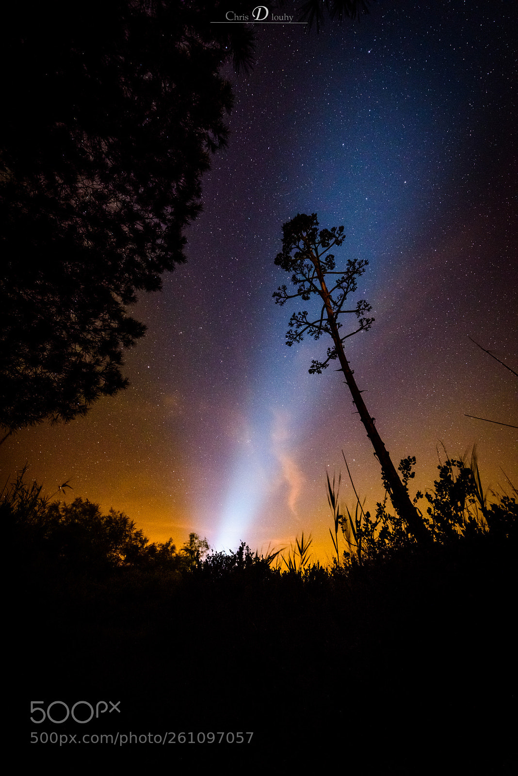 Nikon D810 sample photo. Burning night sky photography