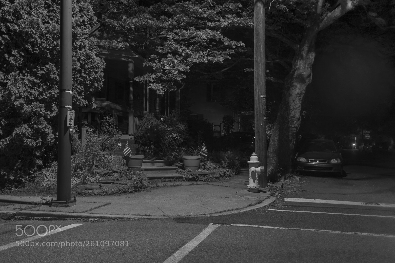 Nikon D7100 sample photo. An american stoop photography
