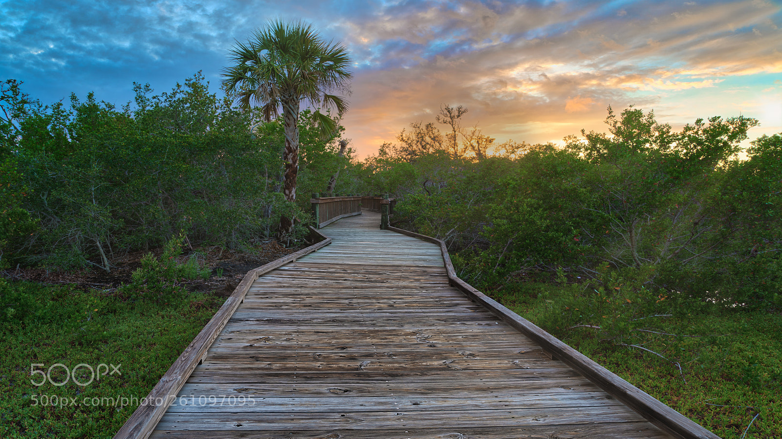 Sony a7R III sample photo. The path at neil photography