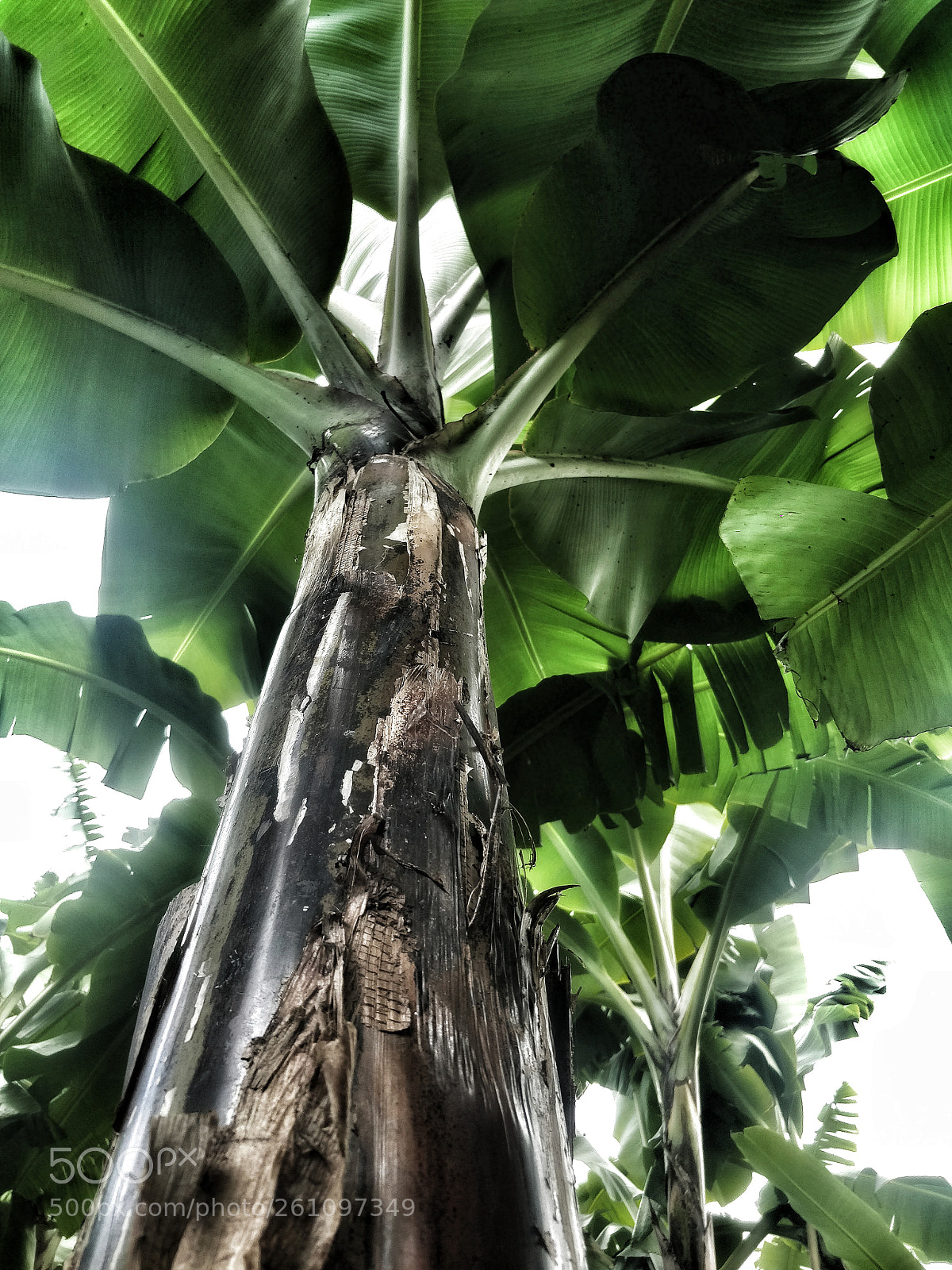 OnePlus 5 sample photo. Untitled photography