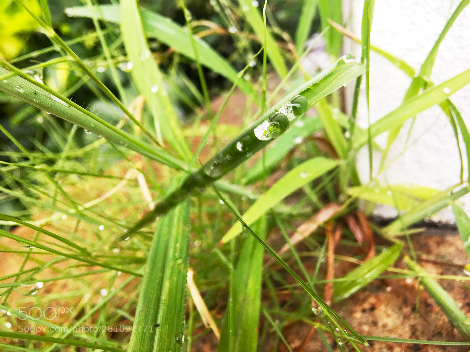 Apple iPhone 6s Plus sample photo. Untitled photography