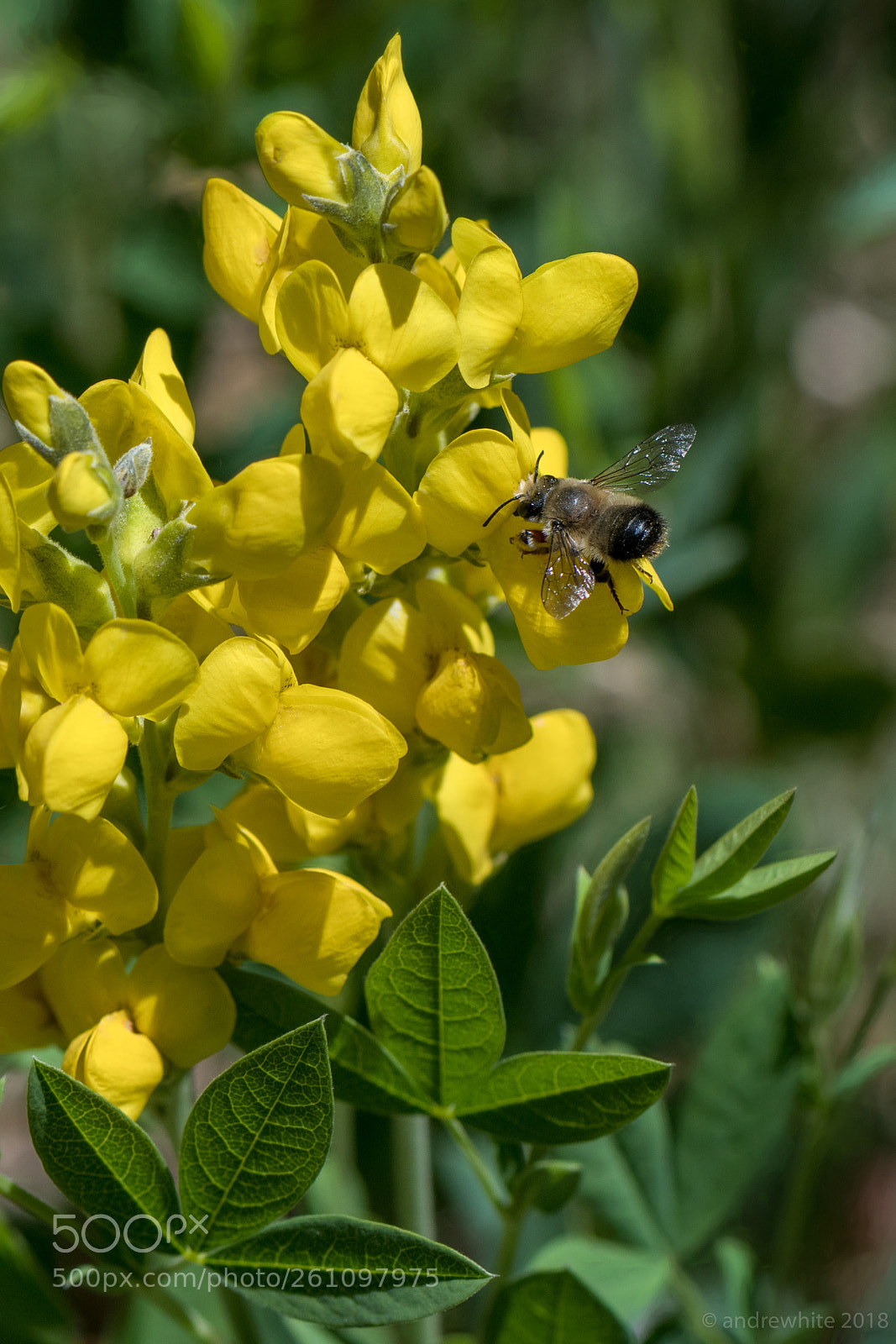 Nikon D850 sample photo. B on p photography