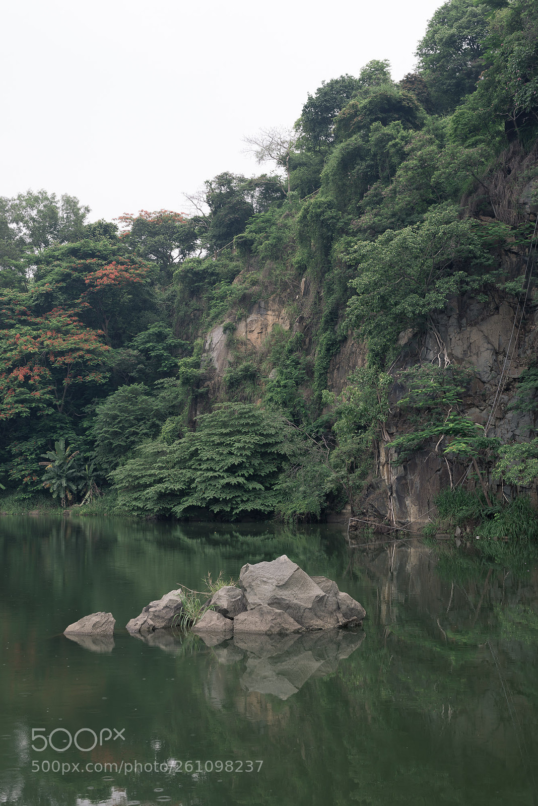 Nikon D610 sample photo. Non nước photography