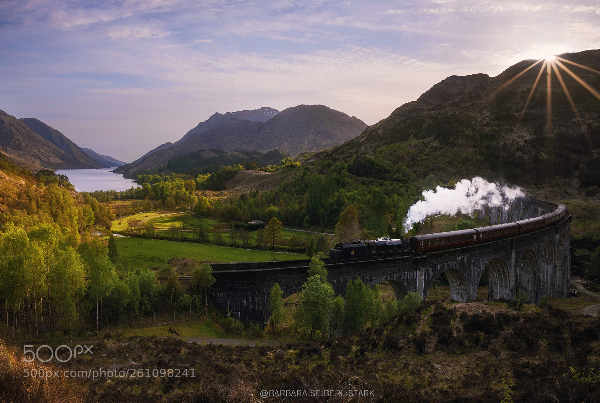 Nikon D850 sample photo. Hogwarts express photography