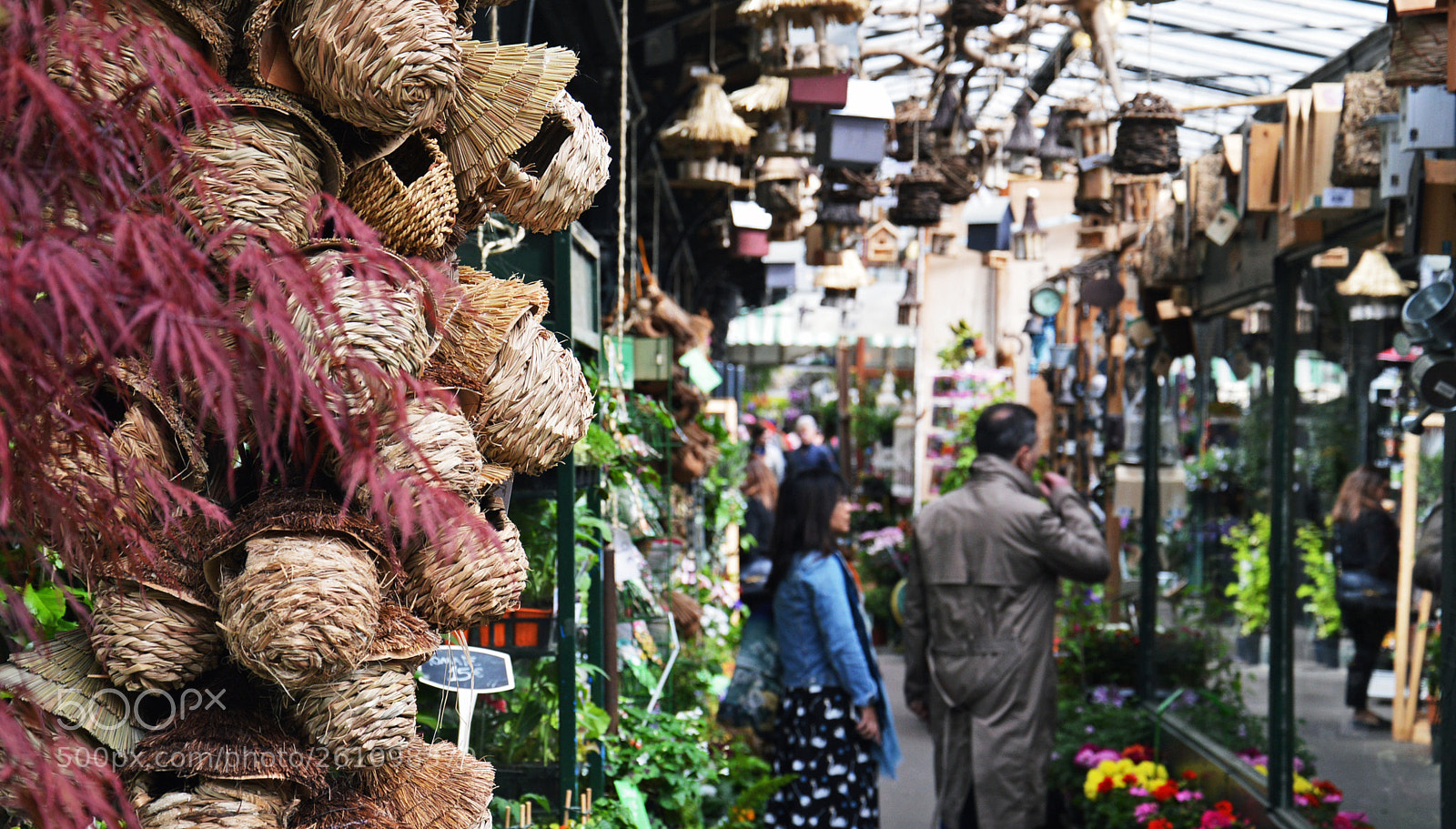 Nikon D3200 sample photo. Marché aux oiseaux photography