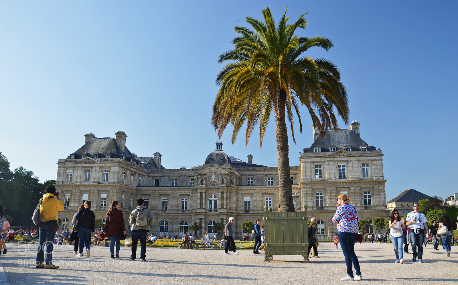Nikon D3200 sample photo. Palmier devant le palais photography