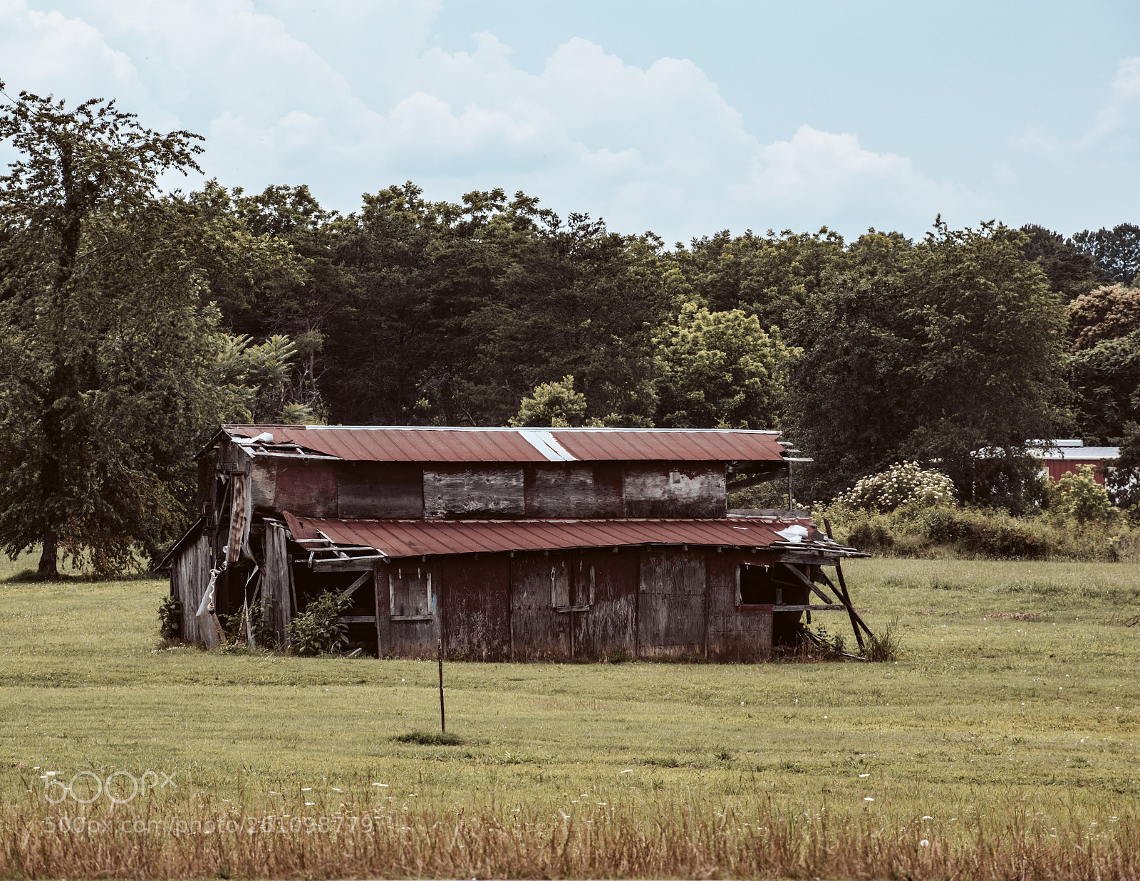 Nikon D5500 sample photo. Old roadside barn photography
