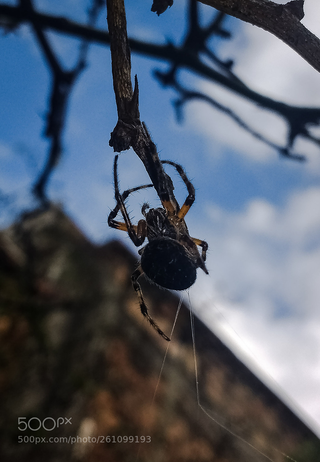 Motorola Moto G (4) sample photo. She-lob photography