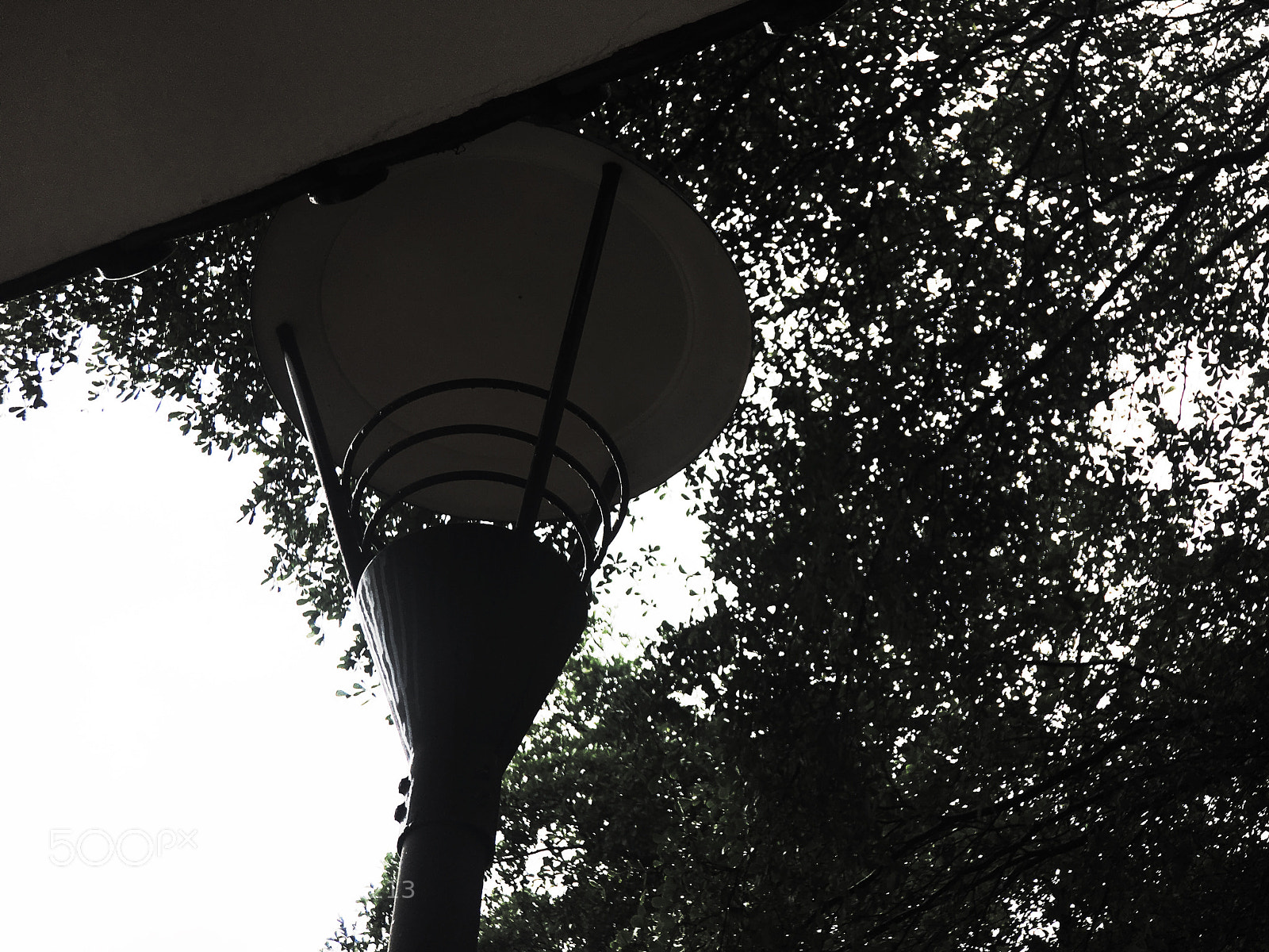Apple iPhone 6s Plus sample photo. Untitled photography