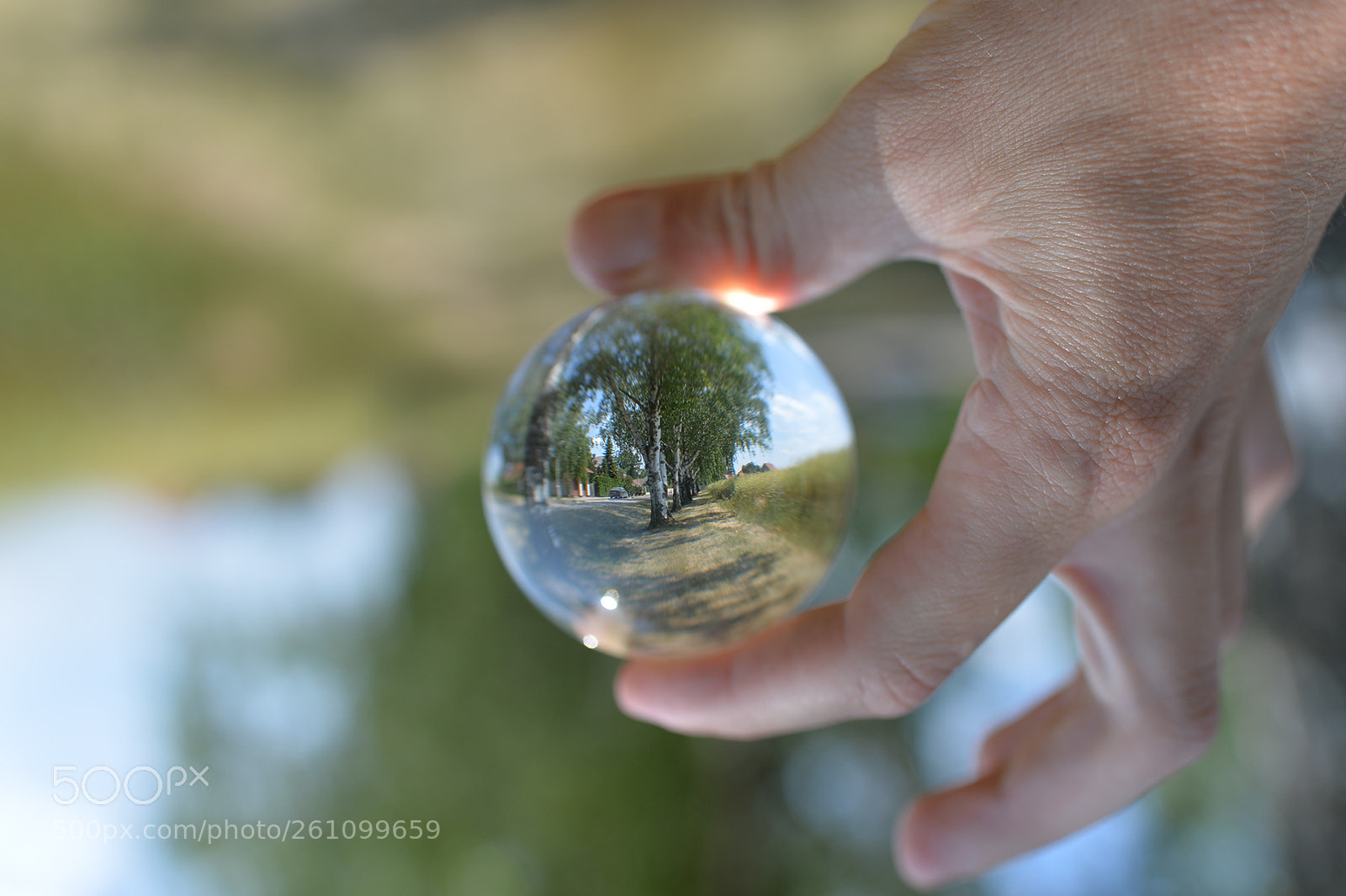 Nikon Df sample photo. Shoreline photography