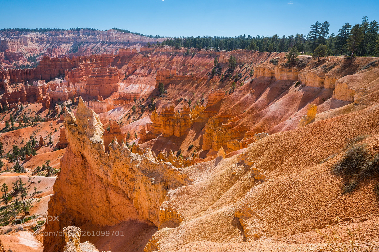 Sony a7R II sample photo. Dsc00956 photography