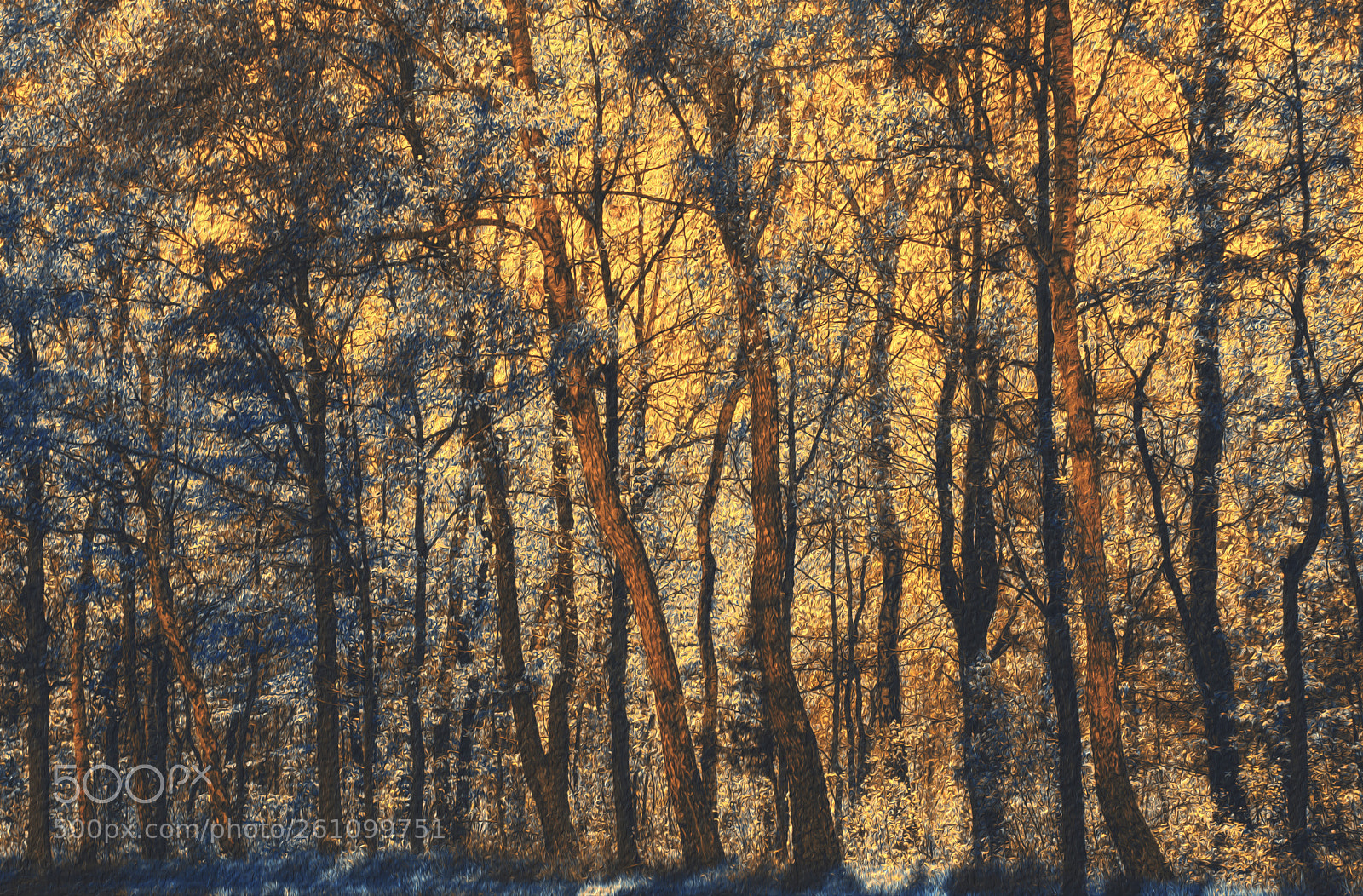 Nikon D3300 sample photo. Painted reality - sunset photography