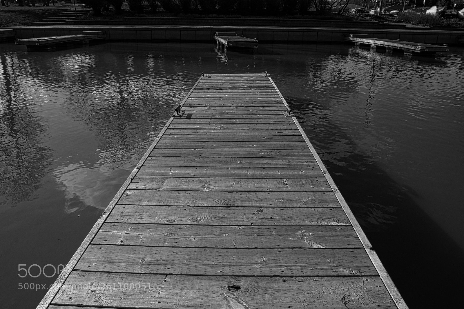 Nikon D7200 sample photo. All i need are photography