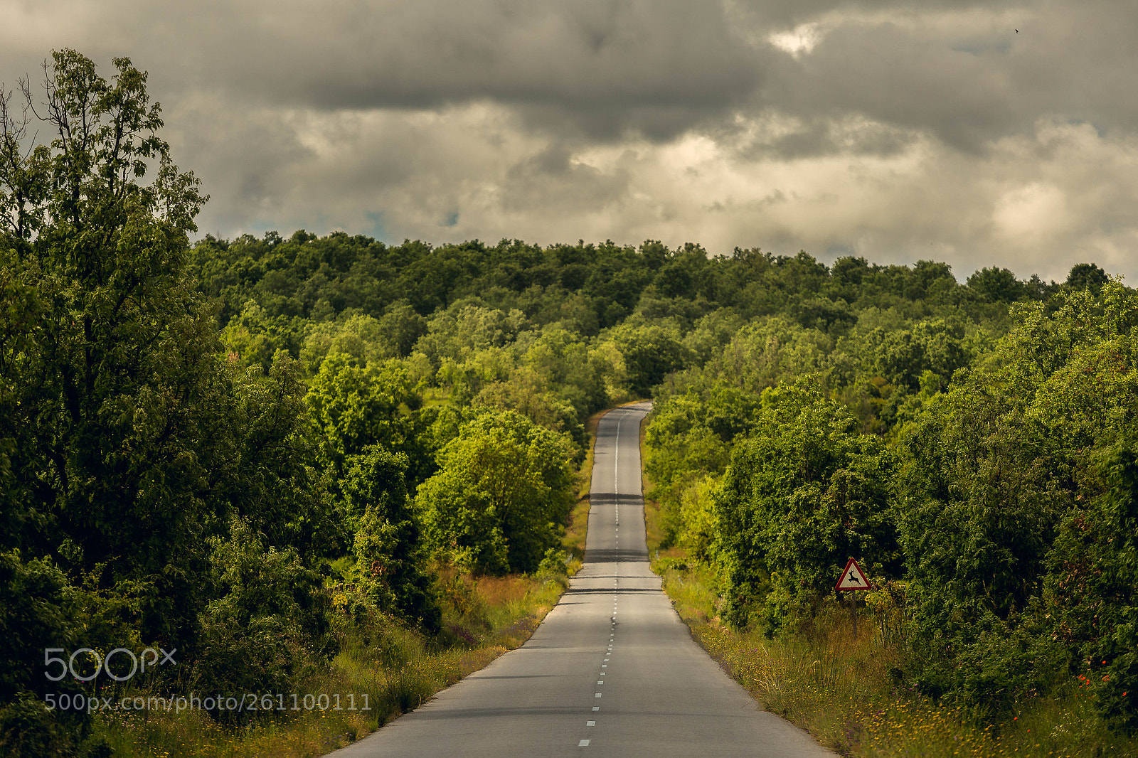 Canon EOS 6D sample photo. Road photography