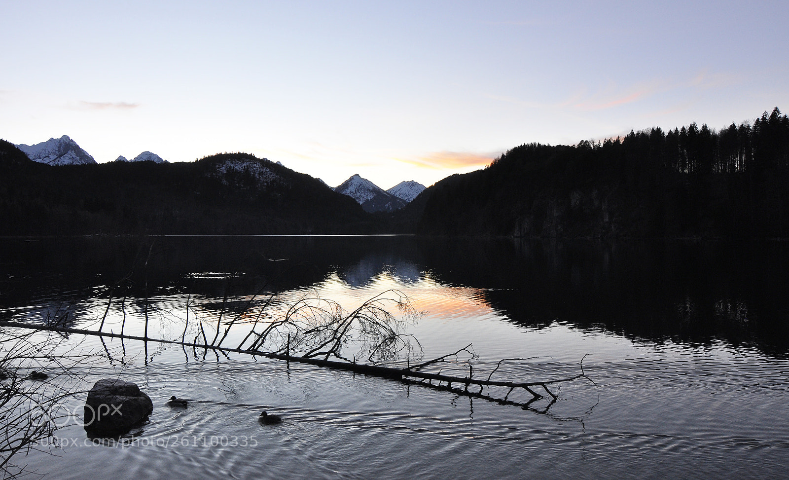 Nikon D90 sample photo. Alpsee at the dusk photography