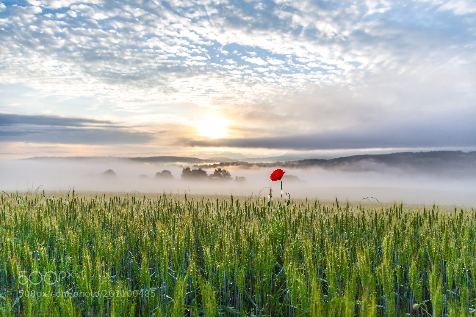Canon EOS 6D sample photo. Sunrise photography