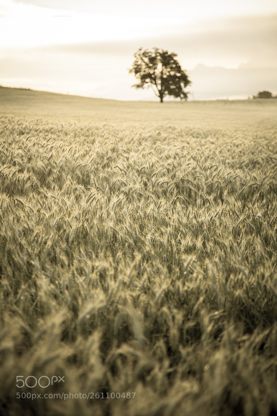 Canon EOS 6D sample photo. Sunrise photography