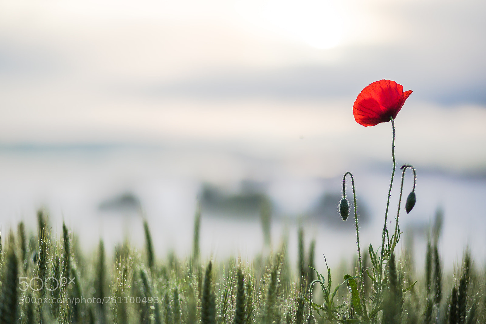 Canon EOS 6D sample photo. Sunrise photography