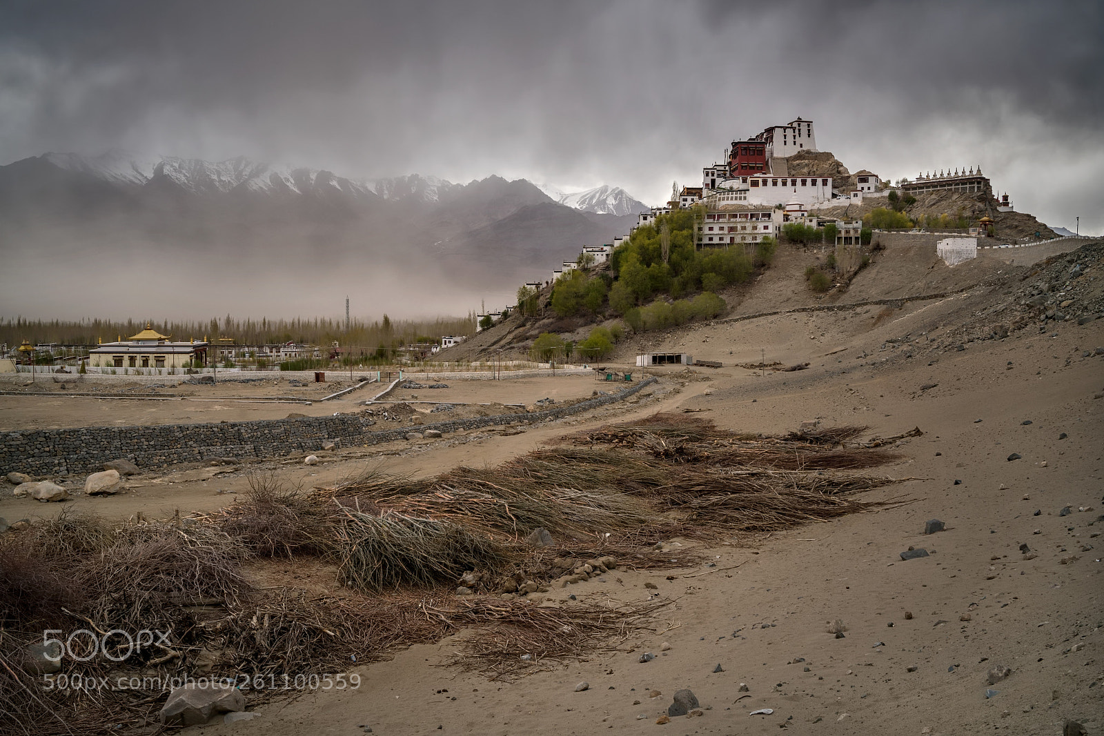 Sony a7R II sample photo. Thiksey monastery photography