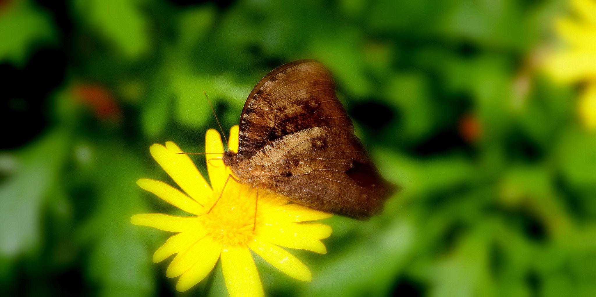 Canon EOS 1100D (EOS Rebel T3 / EOS Kiss X50) sample photo. Let me saq dis ting photography