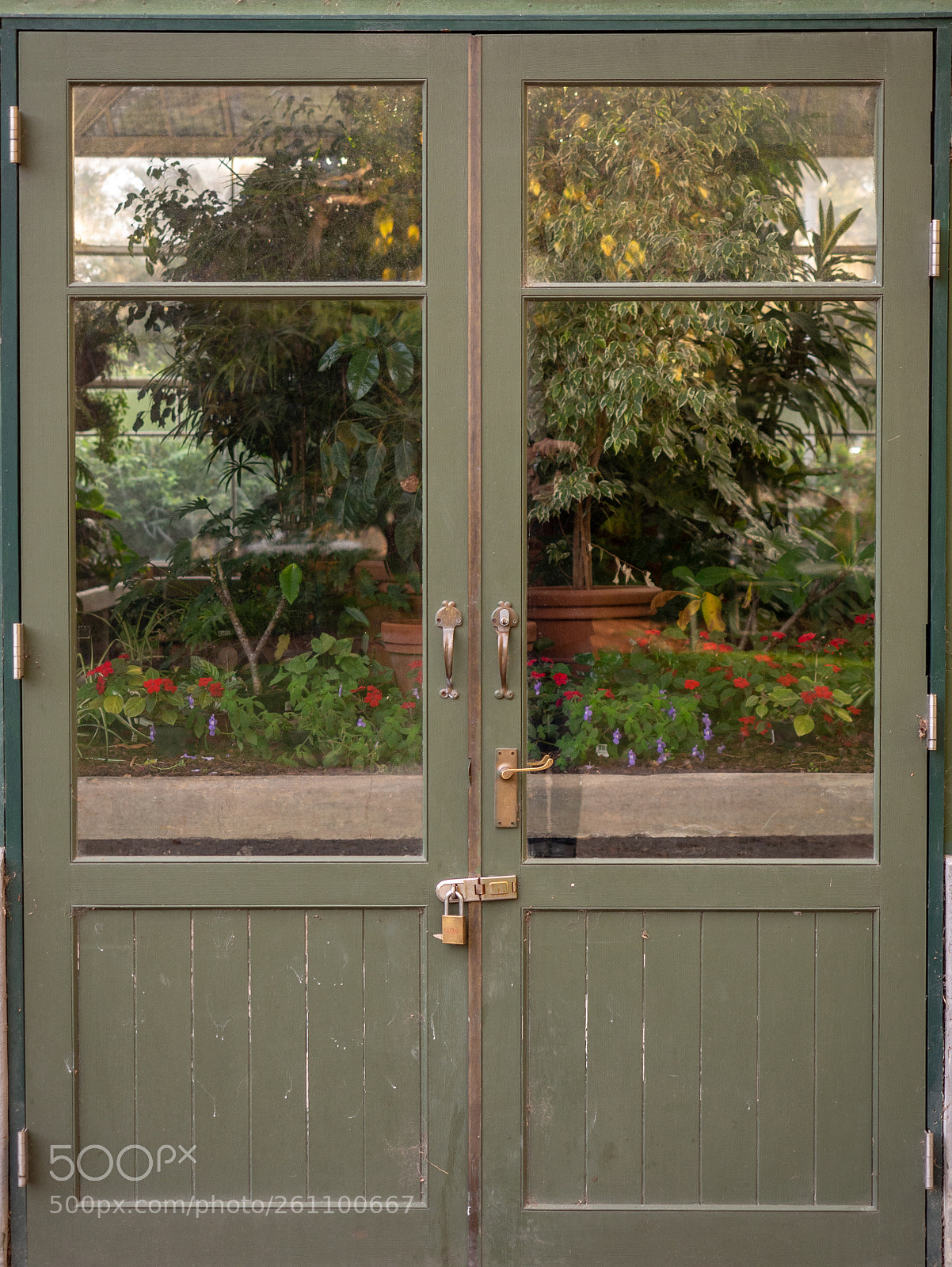 Olympus OM-D E-M10 II sample photo. Doorway to nature photography