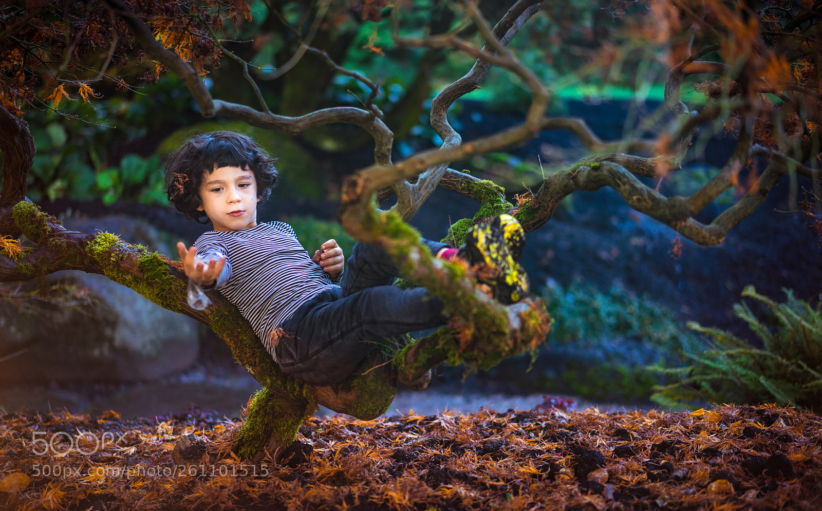 Sony a7 II sample photo. Catching dreams photography