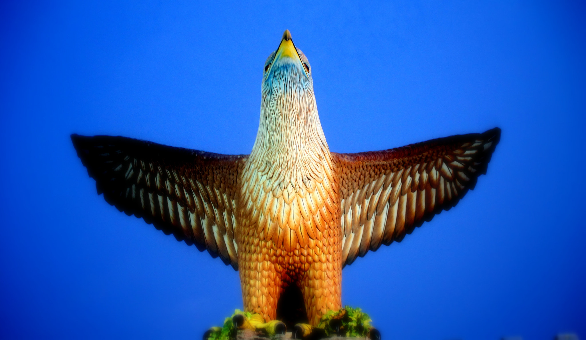 Canon EOS 1100D (EOS Rebel T3 / EOS Kiss X50) sample photo. Your bird photography