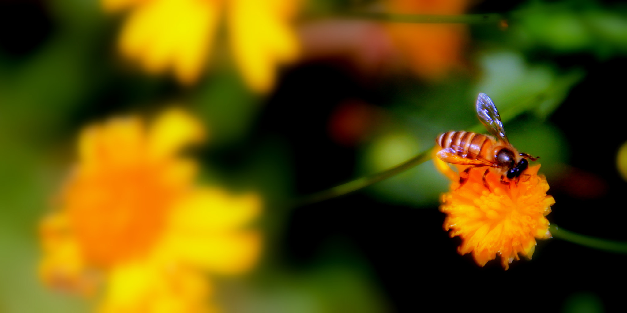 Canon EOS 1100D (EOS Rebel T3 / EOS Kiss X50) sample photo. Oh babee photography