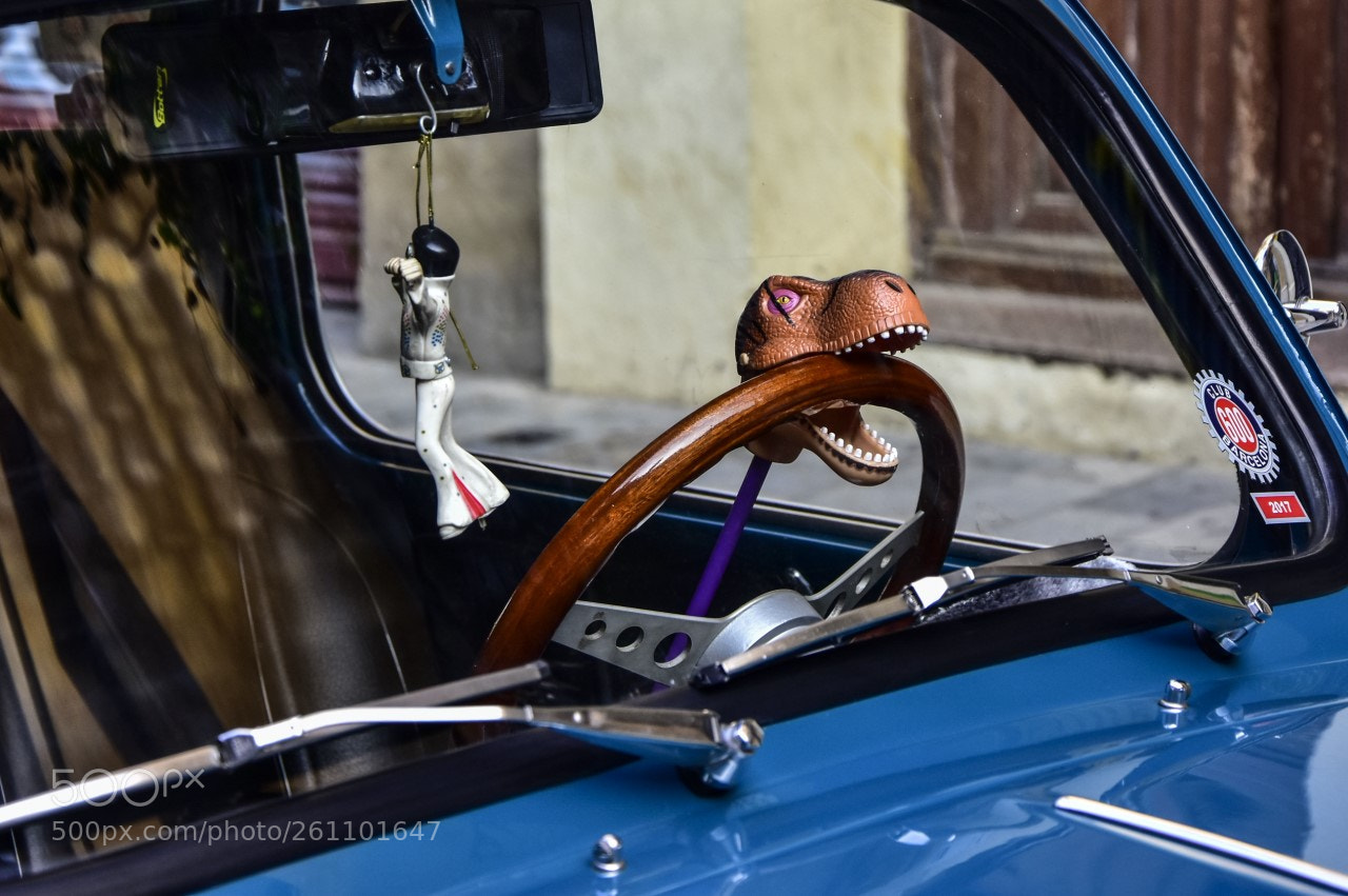 Nikon D7200 sample photo. Antirrobo photography