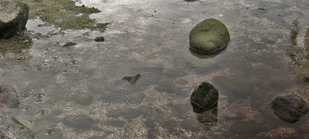 Canon PowerShot SD790 IS (Digital IXUS 90 IS / IXY Digital 95 IS) sample photo. Little rain photography