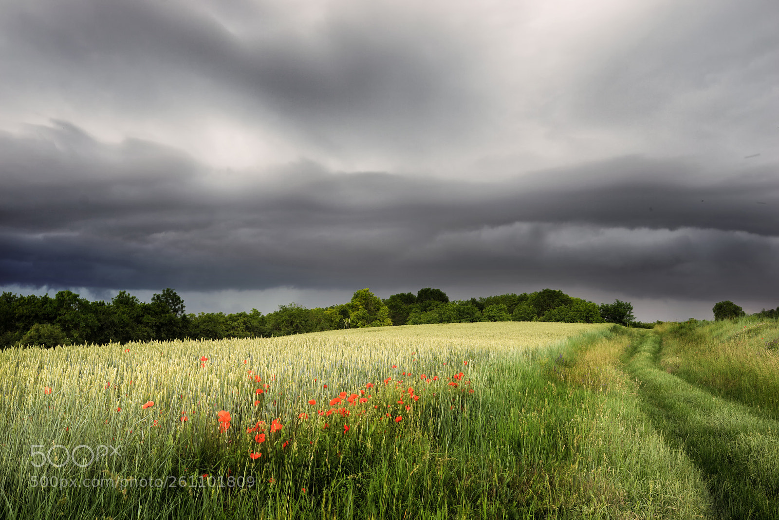 Sony a7R sample photo. Jpg photography
