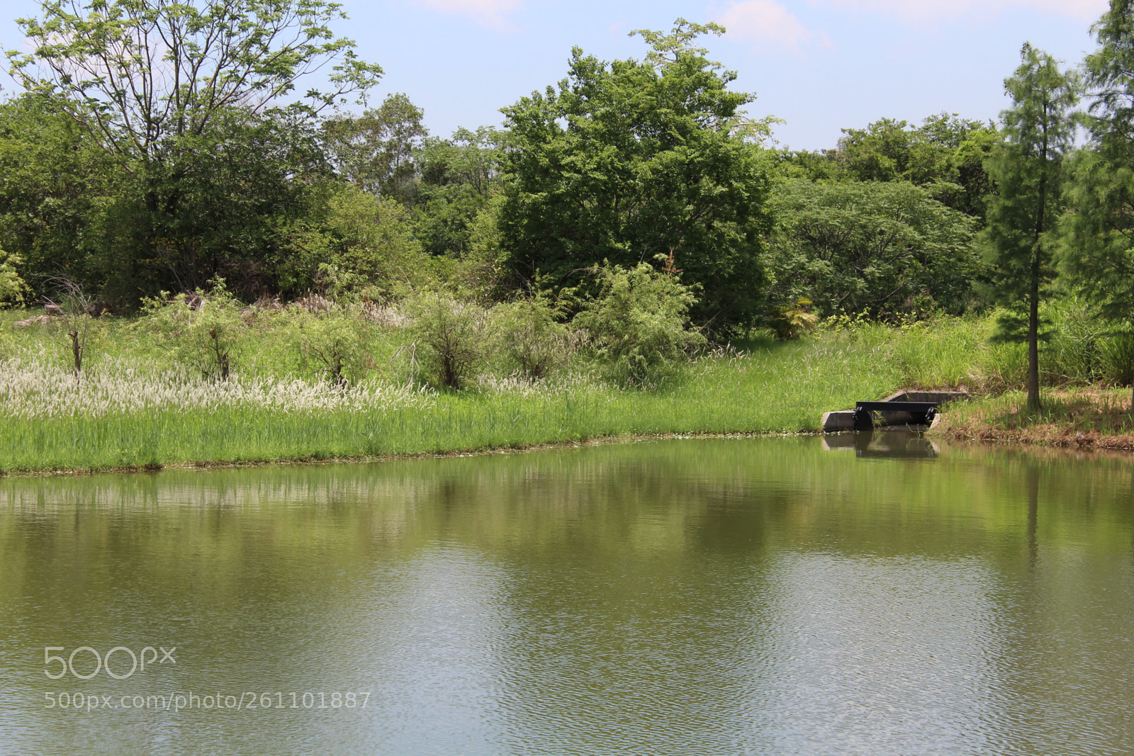 Canon EOS 1200D (EOS Rebel T5 / EOS Kiss X70 / EOS Hi) sample photo. 2018.05.21 hong kong wetland park photography