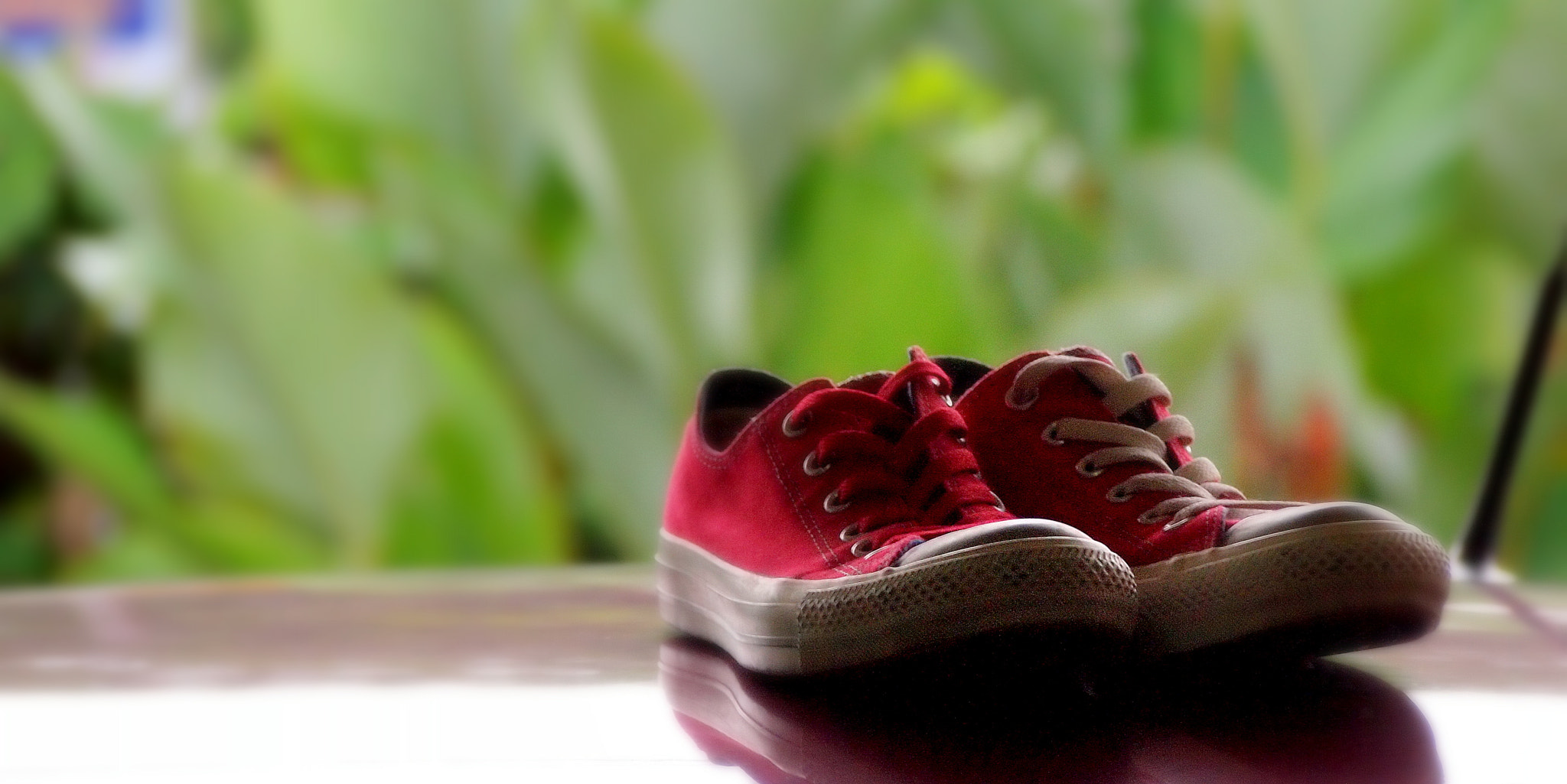 Olympus PEN E-P1 sample photo. Shoosh photography