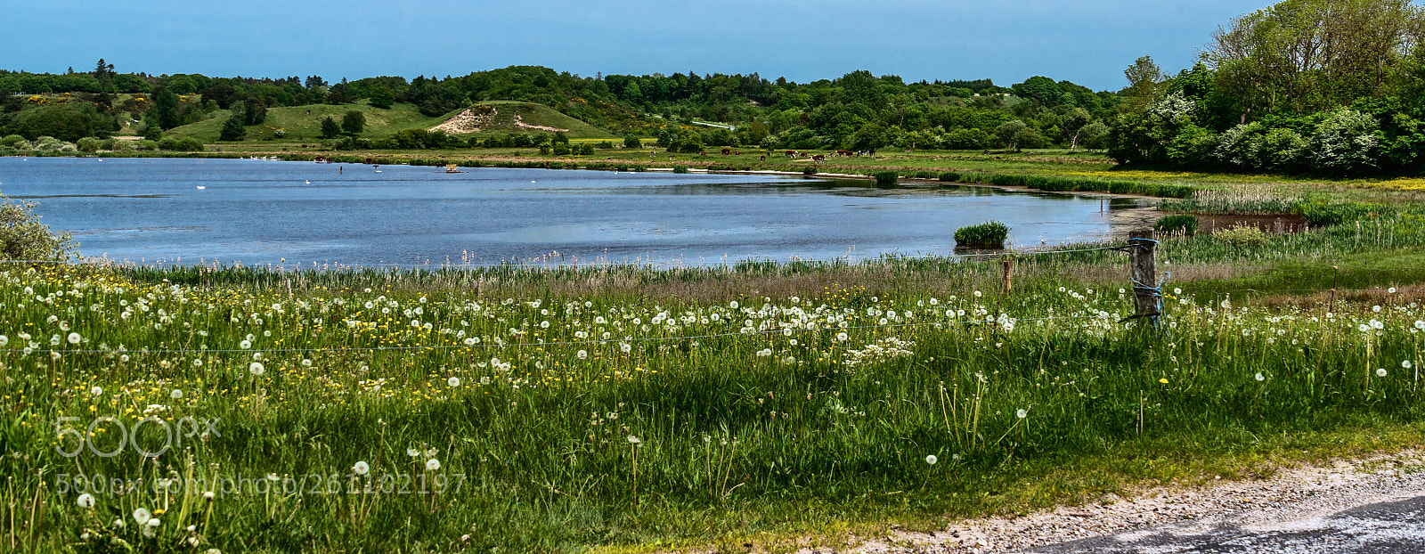 Sony ILCA-77M2 sample photo. Louns lake photography
