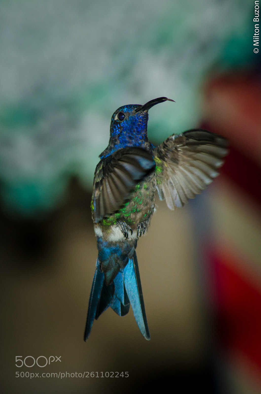 Nikon D7000 sample photo. The lightness in the photography