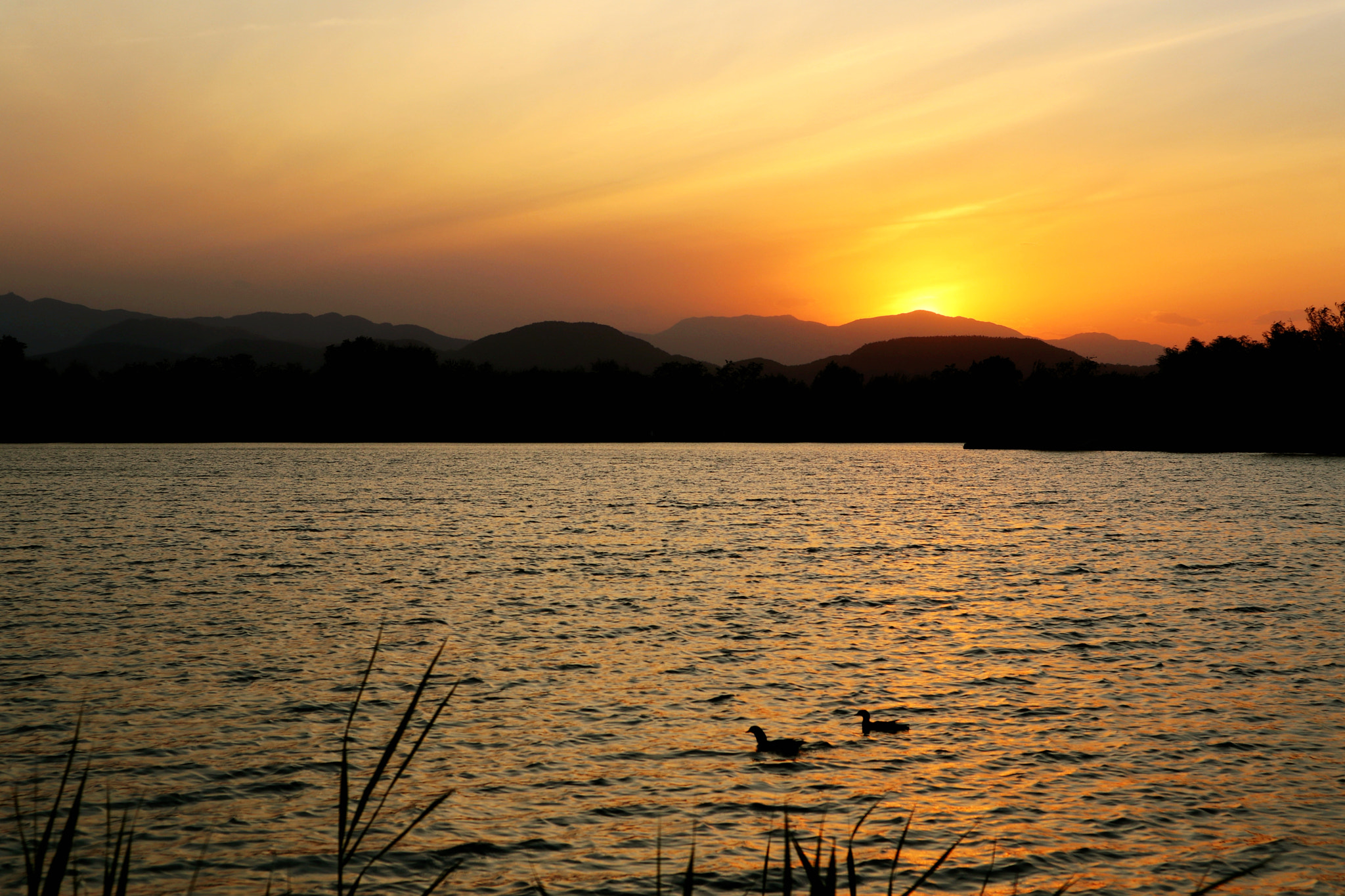 Canon EOS M5 sample photo. Sunset  lake photography