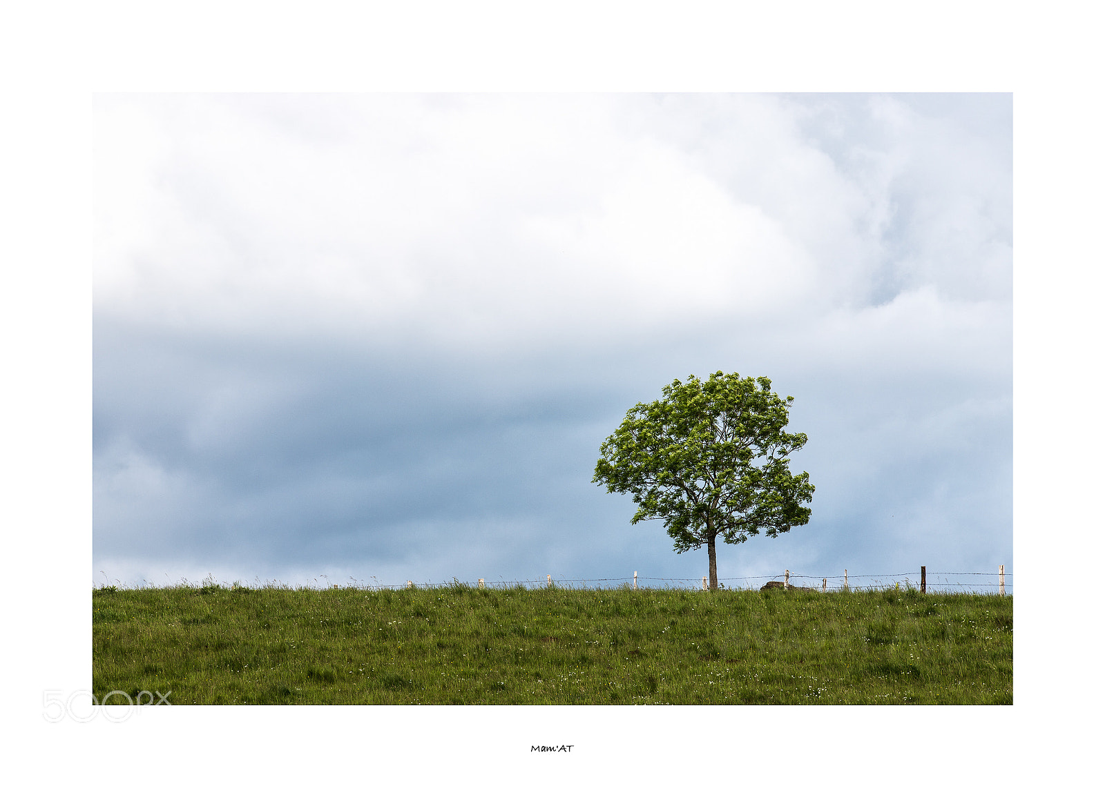 Canon EOS 6D Mark II sample photo. Bleu blanc vert photography