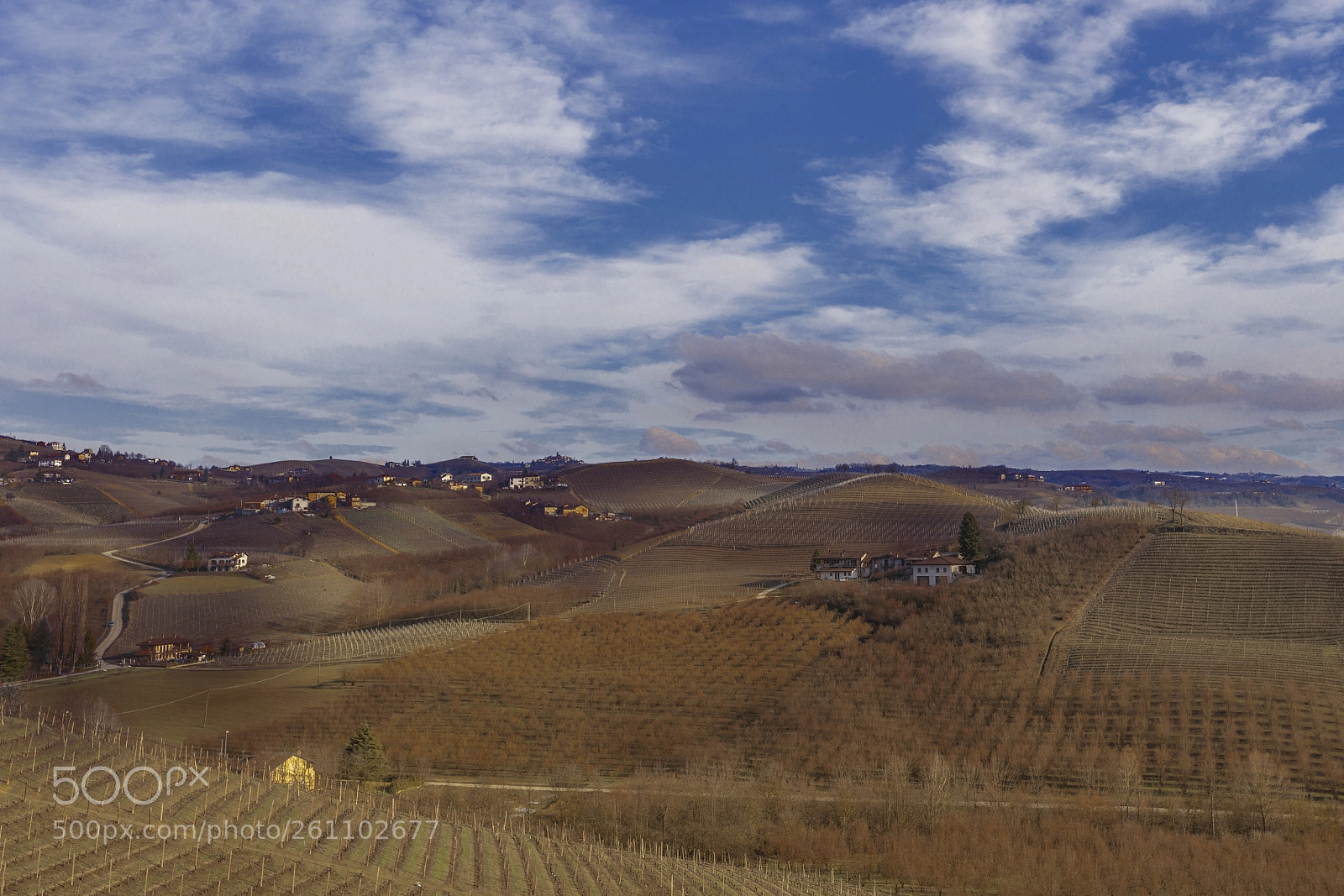 Canon EOS 5DS R sample photo. Vineyard on the hills photography