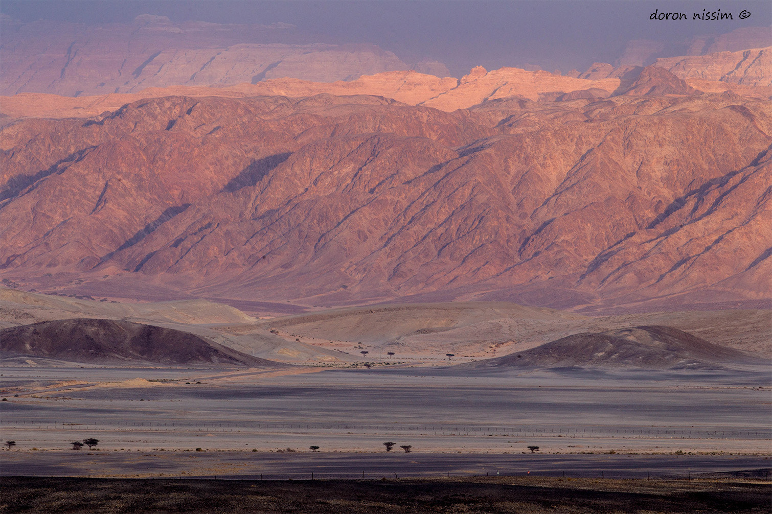 Canon EOS-1D Mark IV sample photo. Desert colors photography