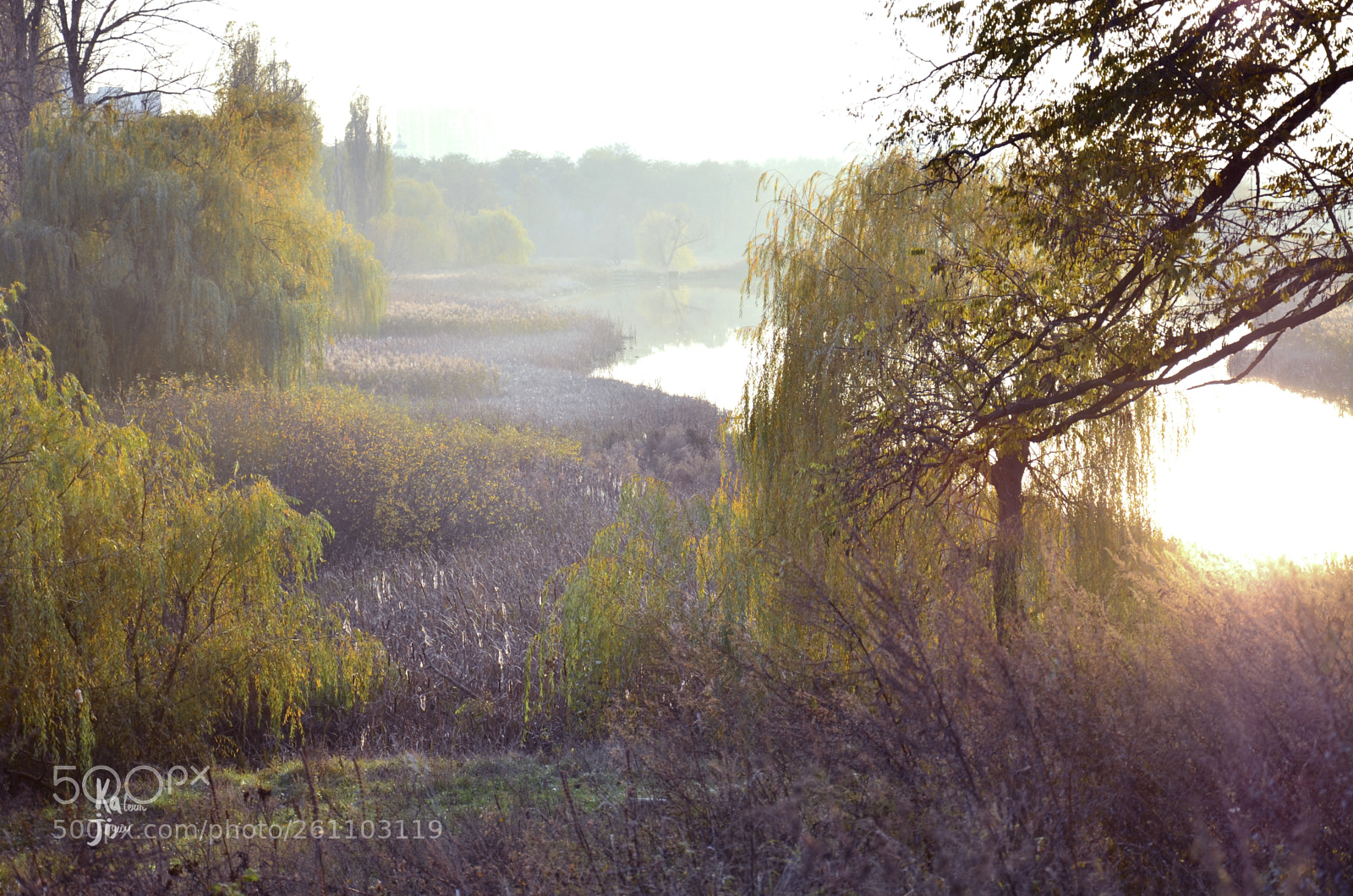Nikon D5100 sample photo. Autumn of poltava photography