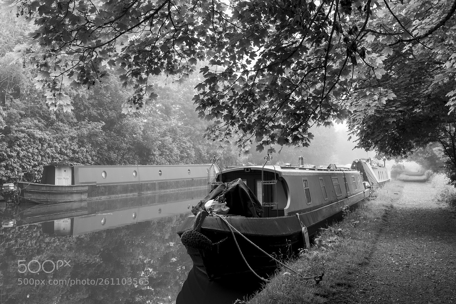 Fujifilm X100S sample photo. Misty morning photography