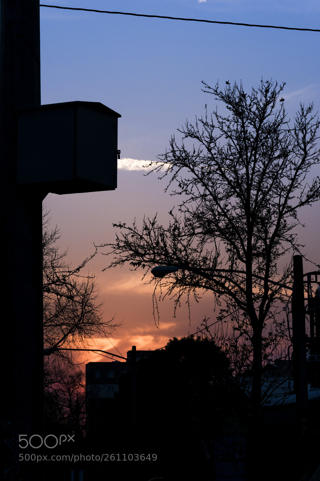 Nikon D3400 sample photo. Lazy afternoon photography