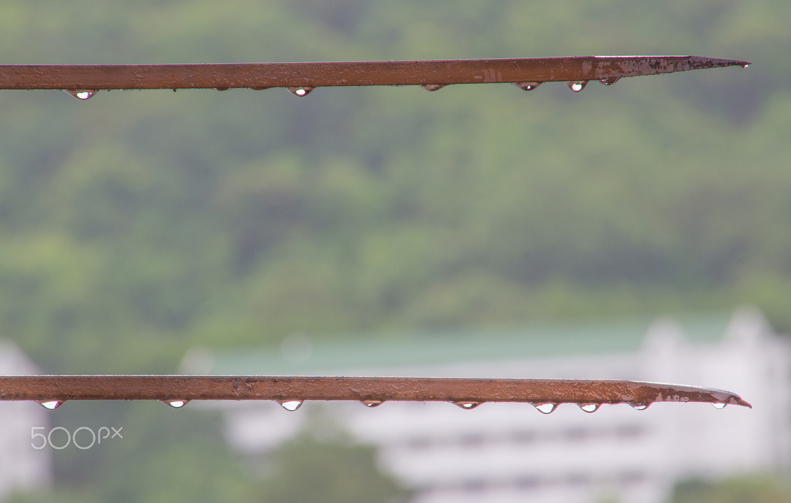 Canon EOS M sample photo. The steel spokes with the rain drop after raining photography