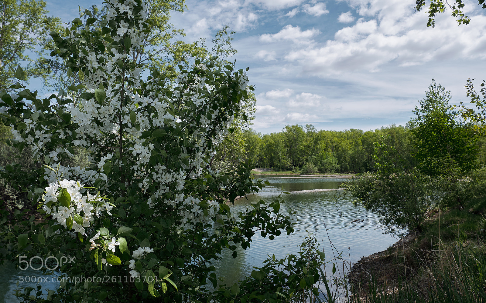 Fujifilm X-T20 sample photo. Florescence photography