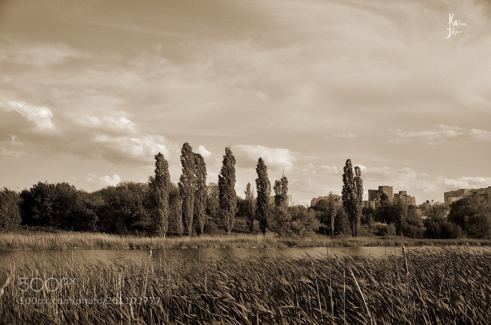 Nikon D5100 sample photo. Poltava photography