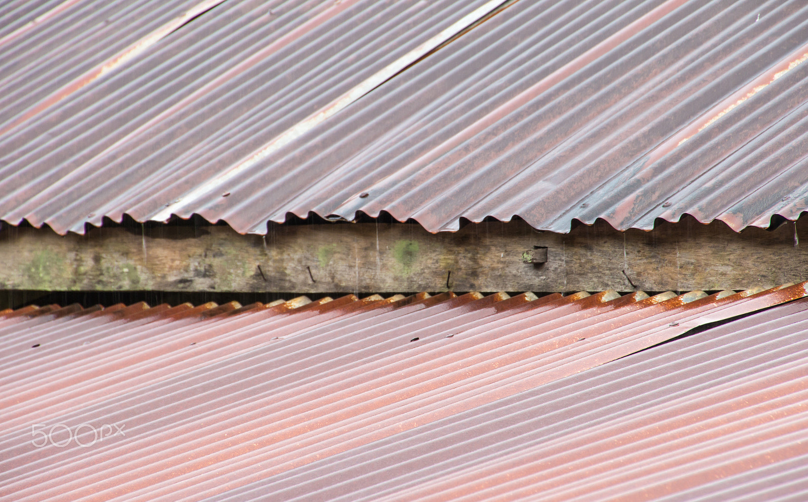 Canon EOS M sample photo. Old rusty galvanized roof during raining photography